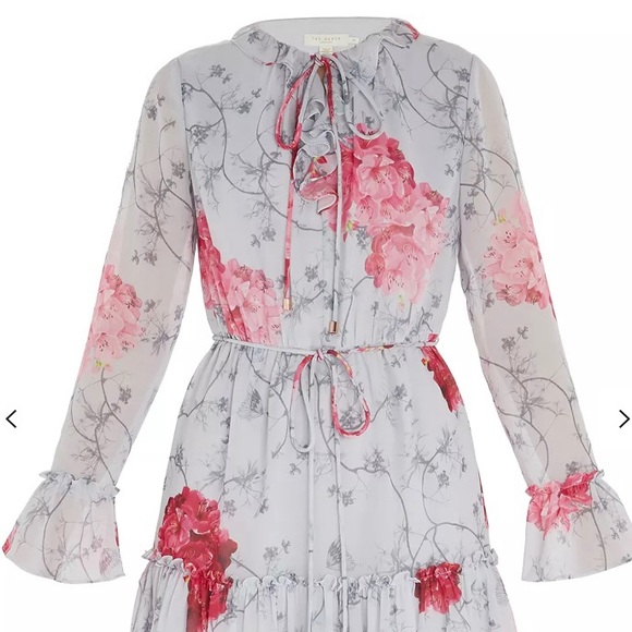 TED BAKER - Eriin Babylon Ruffle Dress - Picture 14 of 15